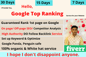 Portfolio for white hat manual google top rank service